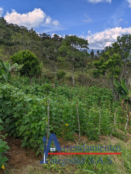 Casa-Finca en Venta en Concepcion